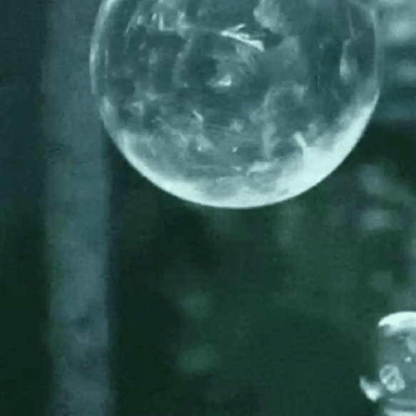 640 (1).gif