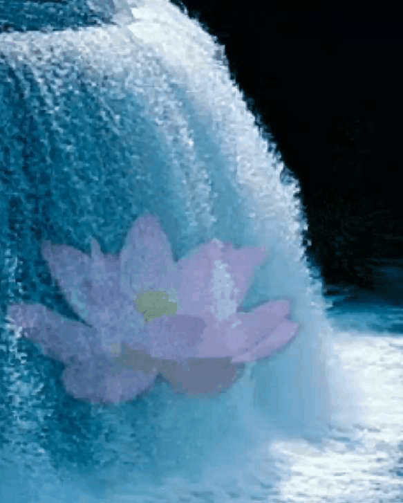 Gif_20231111_171944.gif